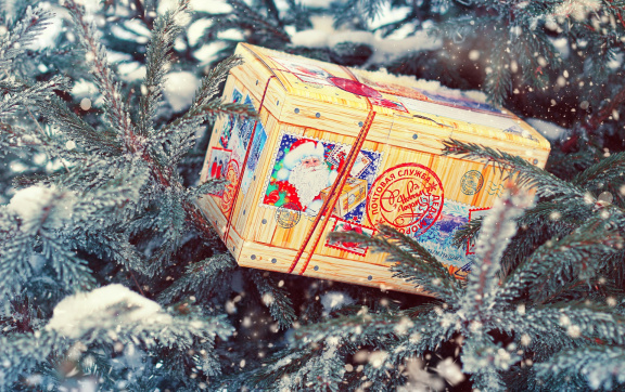 В Москве появились почтовые ящики для писем Деду Морозу